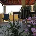 Apartment Mimose